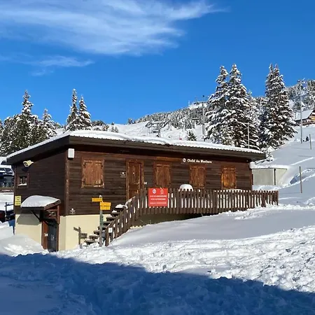 Apartment Au Pays Des Marmottes 6 Personnes Plein Sud Sans Vis A Vis Avec Terrasse